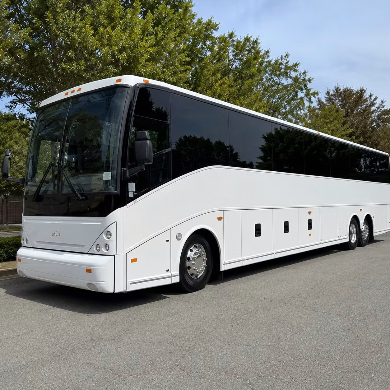 group cruise transfers from largo to port tampa bay and beyond